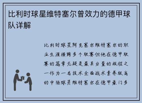 比利时球星维特塞尔曾效力的德甲球队详解
